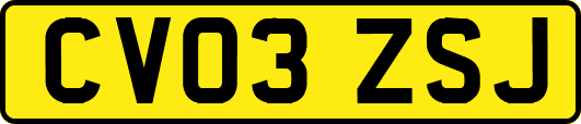 CV03ZSJ