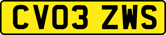 CV03ZWS