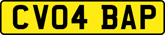 CV04BAP