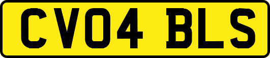 CV04BLS