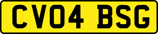 CV04BSG