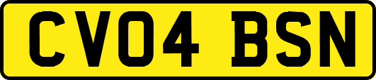 CV04BSN