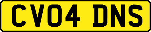 CV04DNS