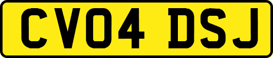 CV04DSJ