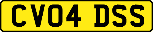 CV04DSS
