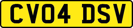 CV04DSV