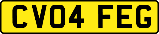 CV04FEG