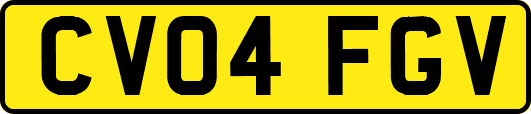CV04FGV