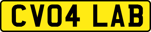 CV04LAB