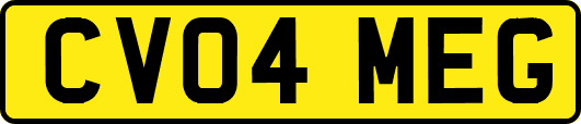 CV04MEG