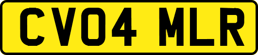 CV04MLR
