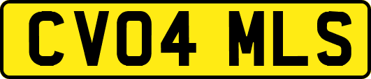 CV04MLS