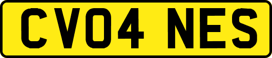CV04NES