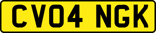 CV04NGK