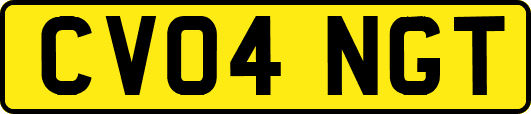 CV04NGT