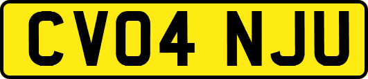 CV04NJU