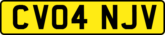 CV04NJV