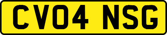 CV04NSG