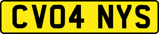 CV04NYS