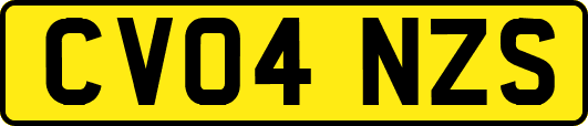 CV04NZS