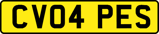 CV04PES