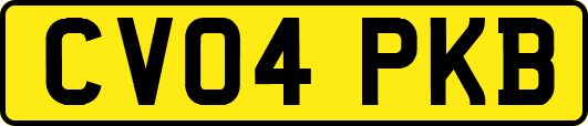 CV04PKB
