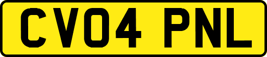 CV04PNL