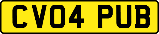 CV04PUB