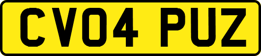 CV04PUZ