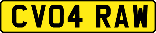 CV04RAW