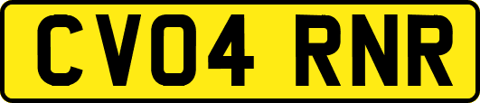 CV04RNR