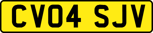 CV04SJV