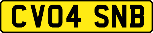 CV04SNB