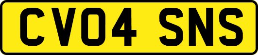 CV04SNS