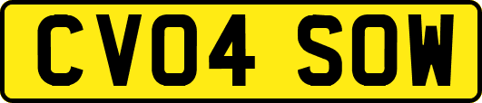 CV04SOW