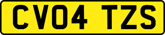 CV04TZS