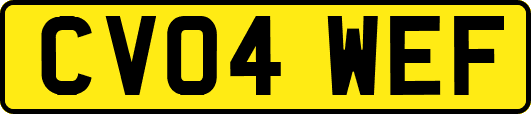CV04WEF