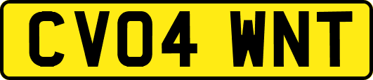 CV04WNT