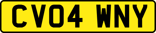 CV04WNY