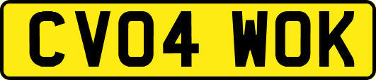 CV04WOK