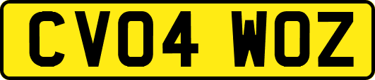 CV04WOZ