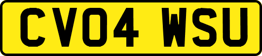 CV04WSU