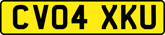 CV04XKU