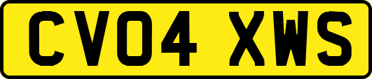 CV04XWS