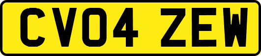 CV04ZEW