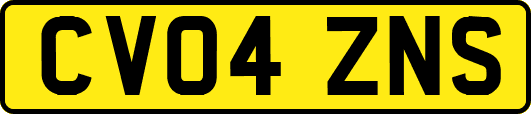 CV04ZNS