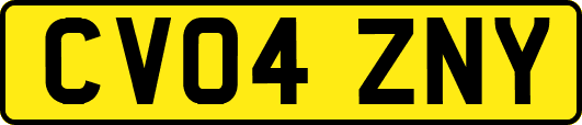 CV04ZNY