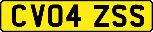 CV04ZSS