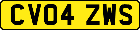CV04ZWS