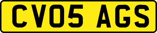 CV05AGS